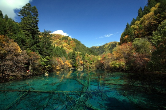 焦虑的自我调整