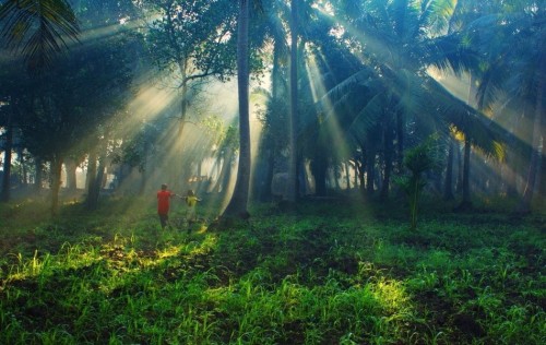 怎样纠正孩子学习时注意力分散的坏习惯?
